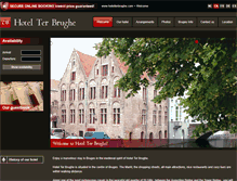Tablet Screenshot of hotelterbrughe.com